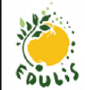 Capture_dcran_du_20230725_171651.png