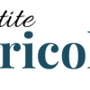 Petite Bricole